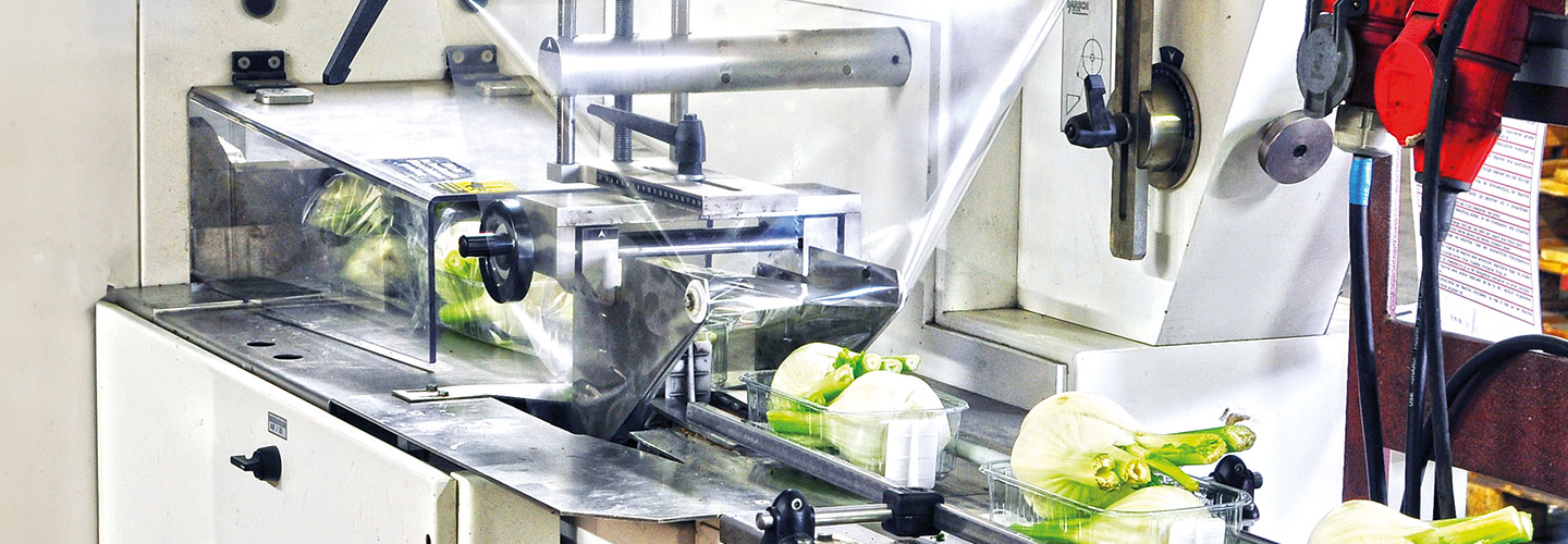 Neu entwickelte technische Hochleistungskunststoffe und Elastomere spielen eine zentrale Rolle bei der Verbesserung der Produktionseffizienz und Produktqualität in der Lebensmittelindustrie. Verbraucher profitieren von diesen Fortschritten durch verbesserte Prozesse und erwarten zu Recht, dass die höchsten Sicherheitsstandards bei der Herstellung von Lebensmitteln und Getränken eingehalten werden.